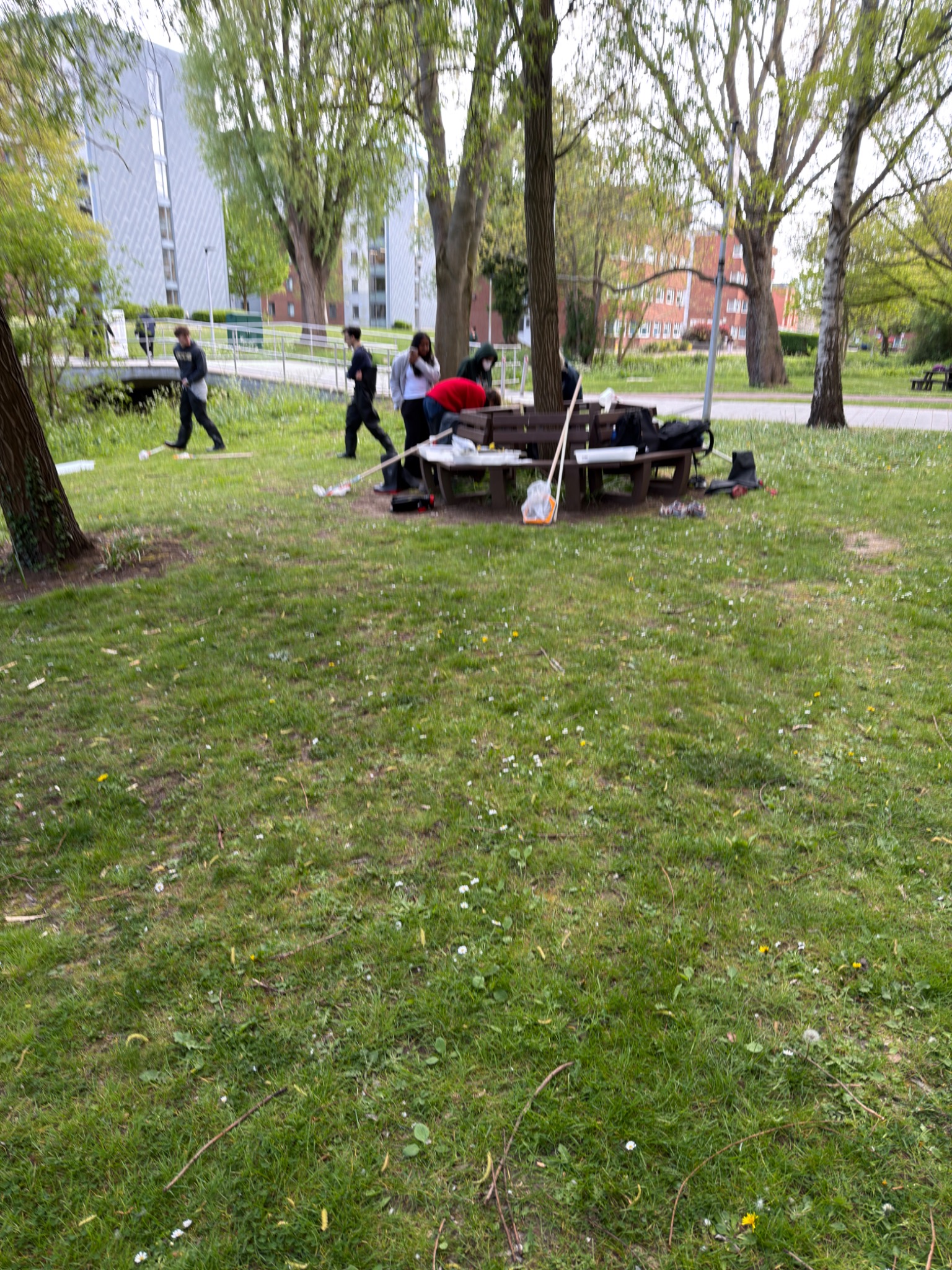 Campus clean-up initiative